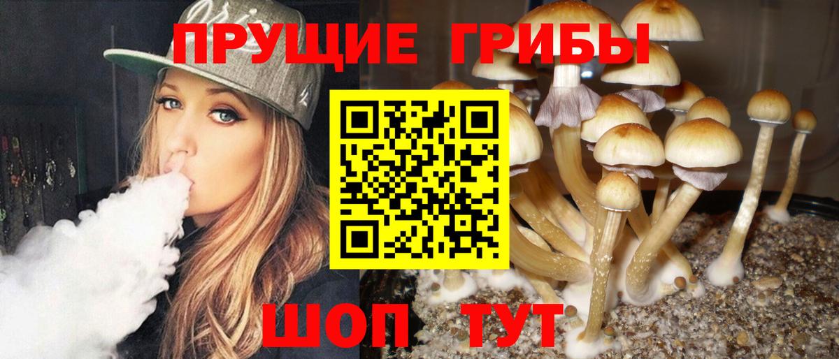 Галлюциногенные грибы Magic Shrooms Советск